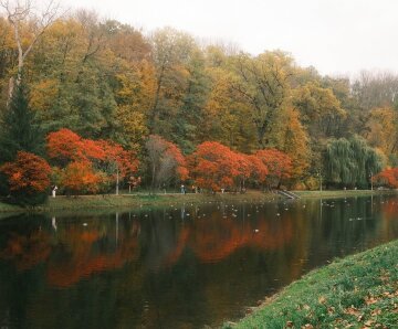 Кого не можна виганяти з дому 30 жовтня і куди треба покласти сало: прикмети та заборони на Зіновія
