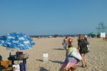 Одеса на порозі екологічної катастрофи? В мережі розповсюджують лячні кадри забрудненого моря