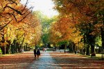 осінь, фото Pxhere