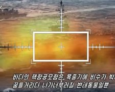 Войска КНДР "взорвали" авианосец США: видео