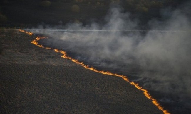 У "Чорнобильської пущі" знову спалахнула пожежа