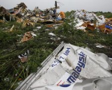 Неожиданный поворот в деле МН17: целились не туда