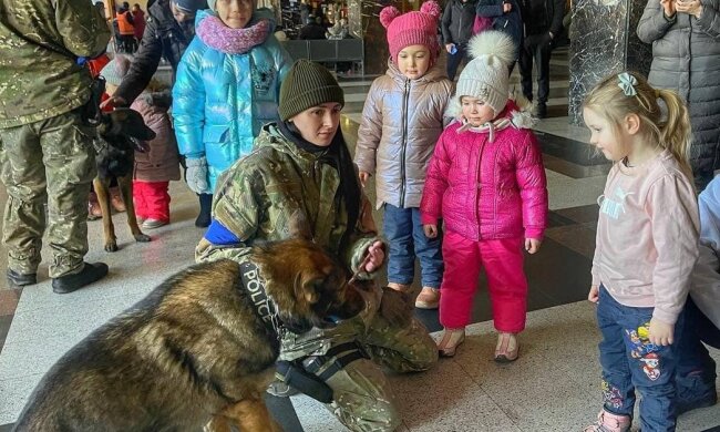 На Київському вокзалі дітям-біженцям провели терапію кінологи з собаками: "У мирний час шукали злочинців"