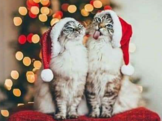 Новий рік, фото: Pinterest