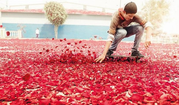 В Коста-Рике с неба упали миллион лепестков роз (фото, видео)