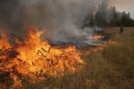 Масштабна пожежа охопила Львівщину, пекельне полум'я пожирає кілометри: рятувальникам не вистачає рук і шлангів