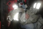 Під Києвом лебідь-кусака помстився людям з ліхтариками