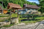 Праздники 19 марта, фото: pixabay