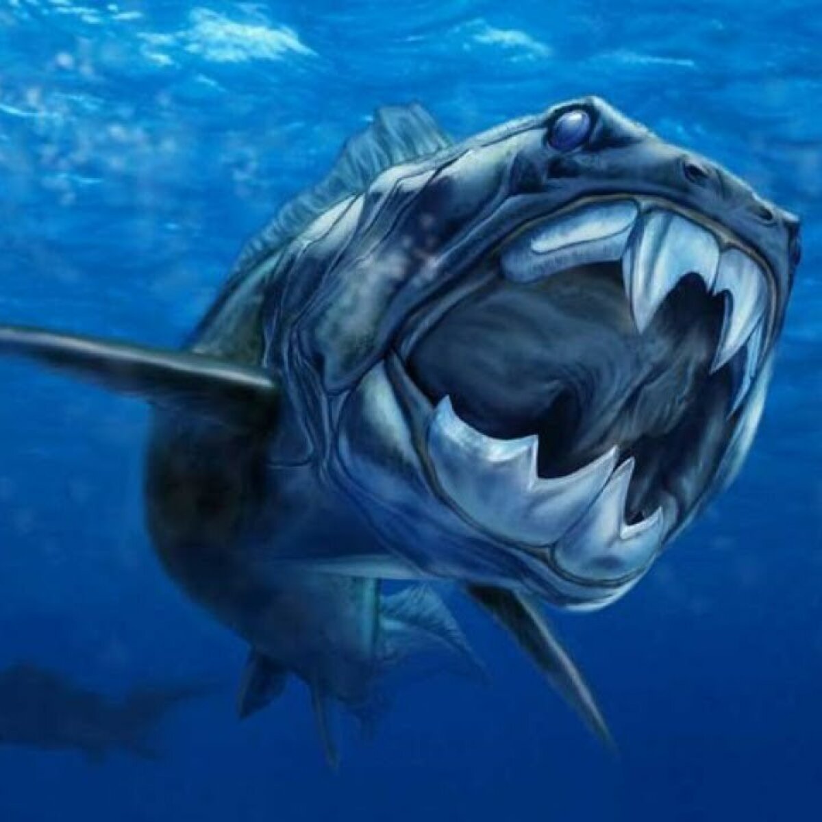Как получить акулу мегалодона в Hungry Shark Evolution?