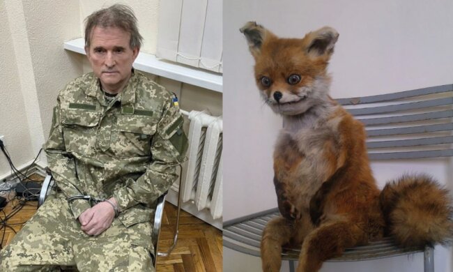 Скрин, Facebook мем Медведчук