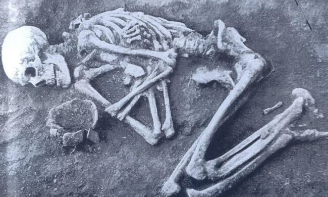 Во Львове нашли таинственное захоронение