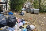 Тернополяни показали звалище в центрі міста - навалили купу і пішли
