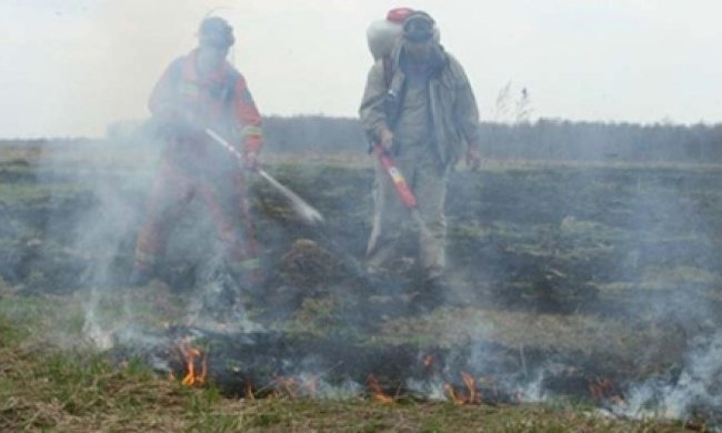 Площадь горения киевских торфяников достигла ста гектаров