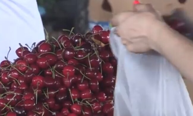 Скрин, видео YouTube