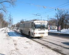 На Волыни перевернулась маршрутка: десятки пострадавших