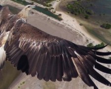 Безпілотники здатні зробити неймовірної краси знімки (фото)