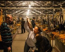 В Геническе женщине надавали тухлой рыбой по щекам