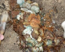 У Пскові відкопали скарби Плюшкіна