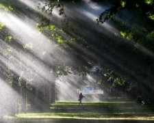 Вченим вдалося заморозити промінь світла