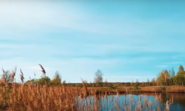 Прогноз погоди, скріншот з відео