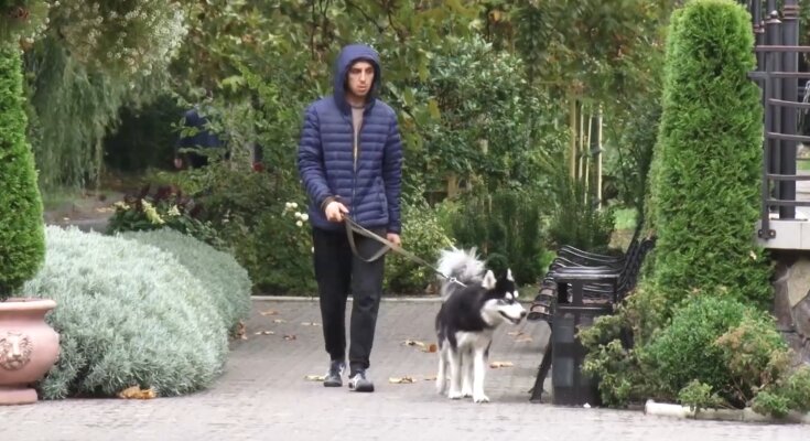 Заморозки, скріншот із відео