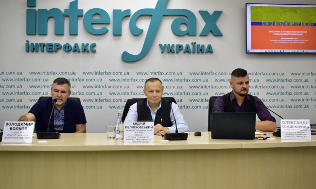 Необхідний якісний і постійний аудит економічної ситуації в країні – Пелюховський