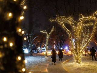 Украинцы, Новый год, фото из соцсетей