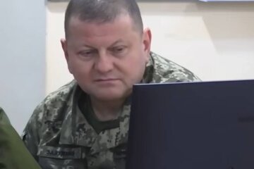 Валерій Залужний, фото: скріншот з відео