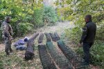 незаконний вилов риби