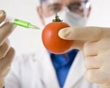 В Украине откроют лаборатории для контроля ГМО продуктов