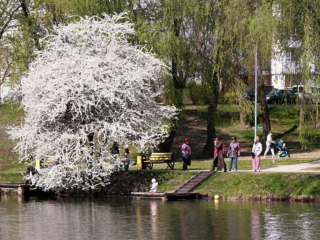 Парк, прогулянка, українці, фото із соцмереж