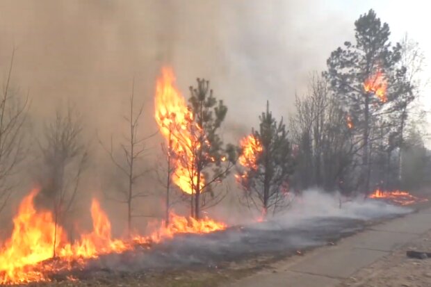 За костер будут наказывать крупным штрафом-на Киевщине из-за угроз лесных пожаров ввели специальные требования