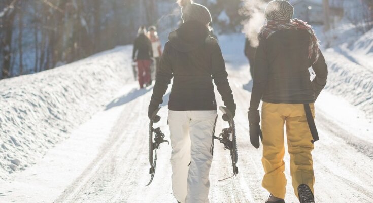 Зима в Україні, Pixabay