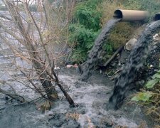 На водойми Києва чекає екологічна катастрофа