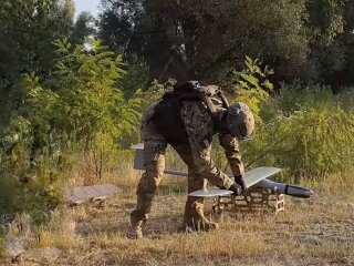 FlyEye, фото: скриншот из видео