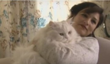 В Туреччині жінка успішно оскаржила виселення її кота