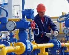 Вінницькі свині показали альтернативу газу Путіна