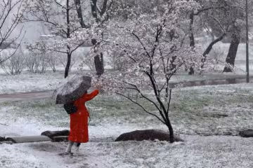 Українці, весна, фото із соцмереж