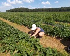 Заробітчани, скріншот із відео