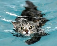 2016 станет самым жарким годом в истории мира