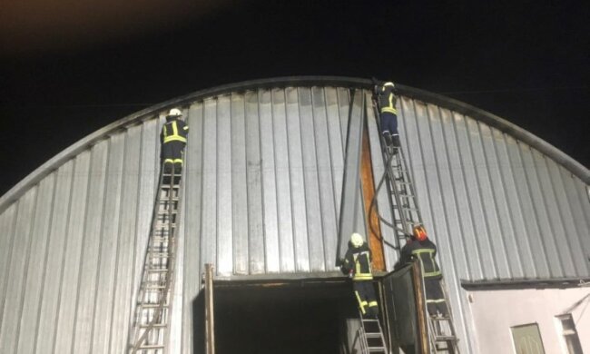 Захотелось экстрима: в Киеве девочка "онемела" на крыше