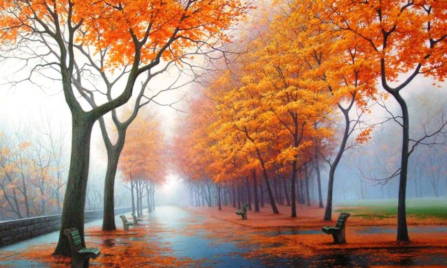 Погода на 9 листопада: синоптик розповіла, коли зіпсується погода