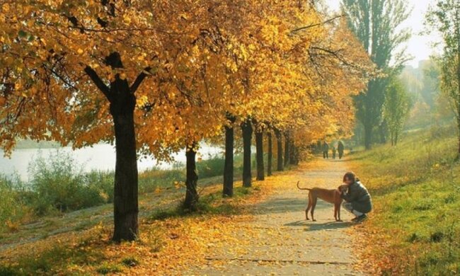 Потужний циклон насувається на Україну: холодні дощі не за горами 