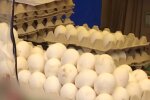 Скрін, відео YouTube