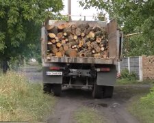 Опалення дровами, скріншот з відео