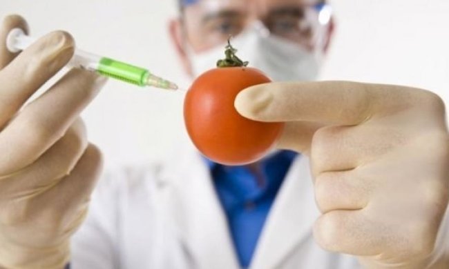 В Україні відкриють лабораторії для контролю ГМО продуктів