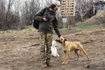 Донбасс, фото: Армия информ