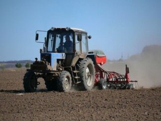 Цены на землю в Украине выросли на 26% — поле