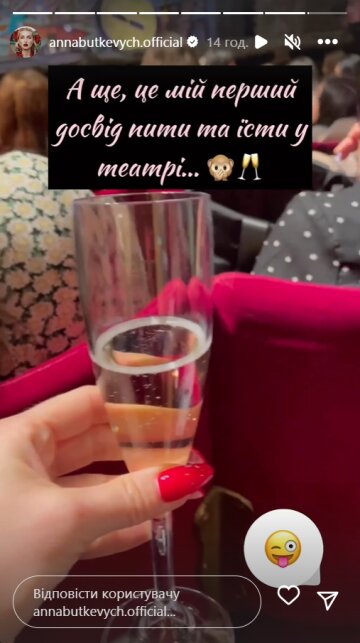 Stories Анни Буткевич, скріншот: Instagram