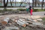 Обрізка дерев, скріншот